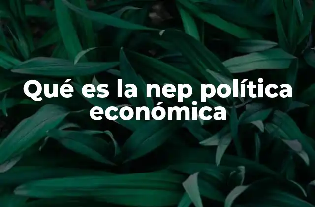 Qué es la Nep Política Económica