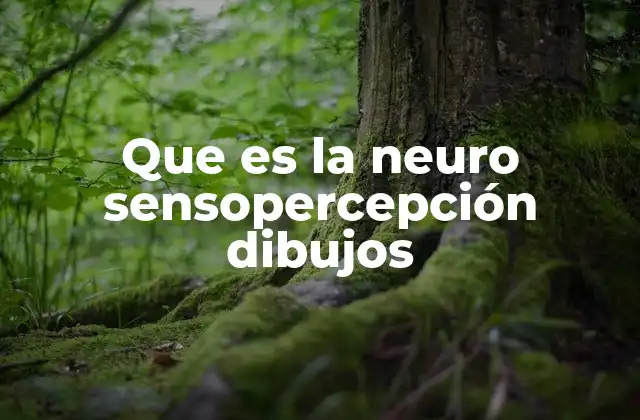 Que es la Neuro Sensopercepción Dibujos