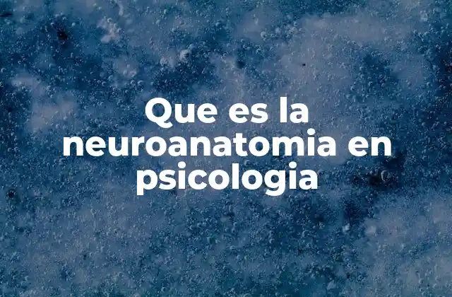 Que es la Neuroanatomia en Psicologia