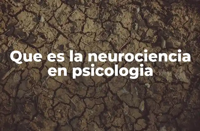 Que es la Neurociencia en Psicologia
