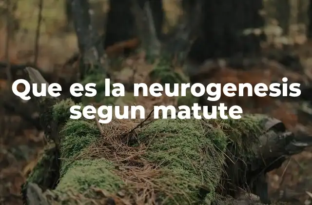Que es la Neurogenesis Segun Matute 2 La neurogénesis y la plasticidad neuronal