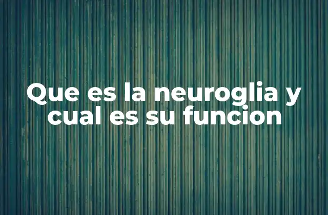 Que es la Neuroglia y Cual es Su Funcion