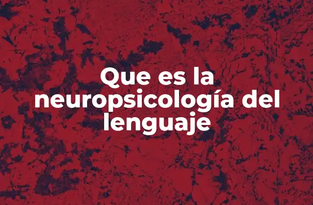 Que es la Neuropsicología Del Lenguaje