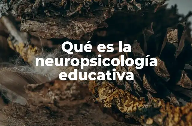 Qué es la Neuropsicología Educativa