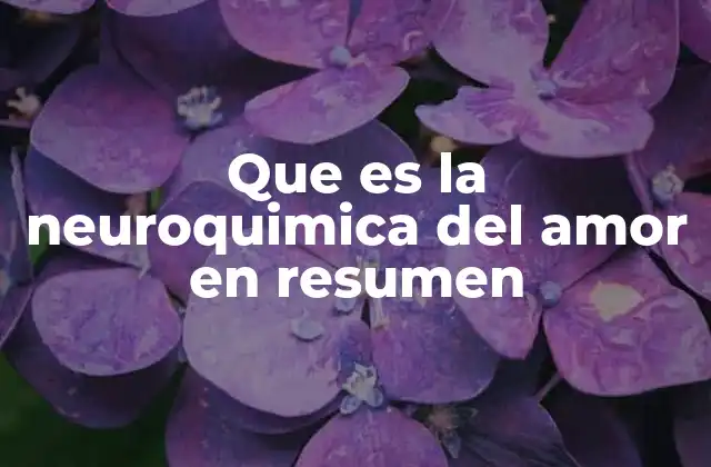 Que es la Neuroquimica Del Amor en Resumen