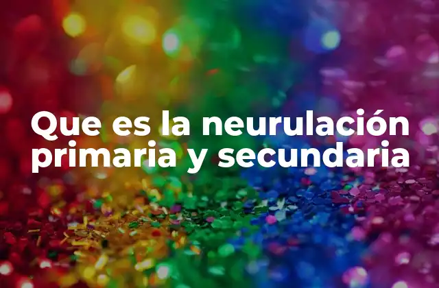 Que es la Neurulación Primaria y Secundaria