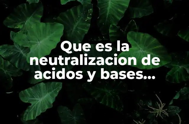 Que es la Neutralizacion de Acidos y Bases Ejemplos 2 La importancia de equilibrar ácidos y bases en la vida diaria