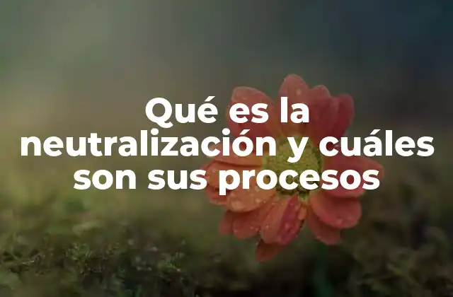 Qué es la Neutralización y Cuáles Son Sus Procesos 2 El equilibrio químico detrás de la neutralización