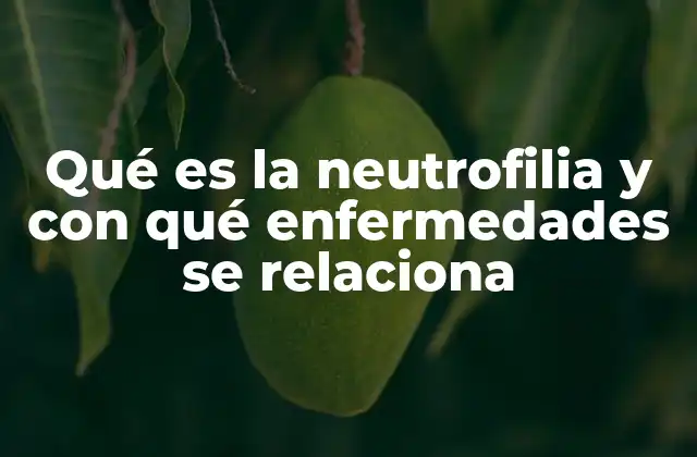 Qué es la Neutrofilia y con Qué Enfermedades Se Relaciona