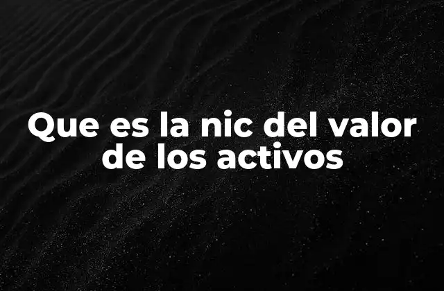 Que es la Nic Del Valor de los Activos