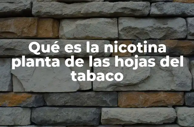 Qué es la Nicotina Planta de las Hojas Del Tabaco