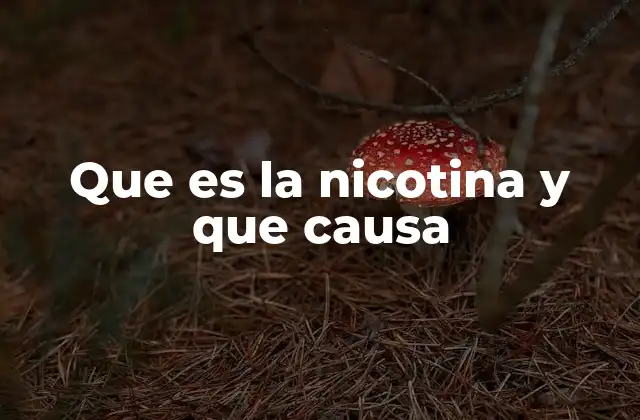 Que es la Nicotina y que Causa