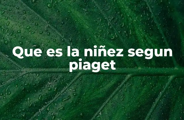 Que es la Niñez Segun Piaget