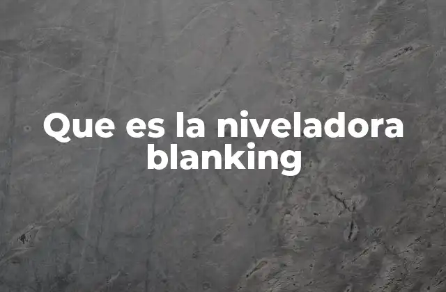 Aplicaciones industriales de las niveladoras blanking