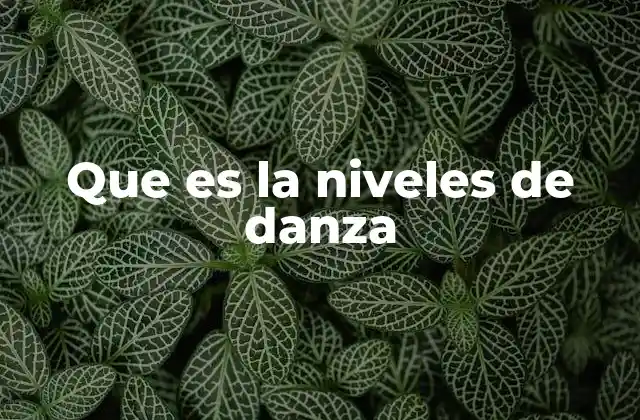 Que es la Niveles de Danza 2 La importancia de la estructura en la formación artística