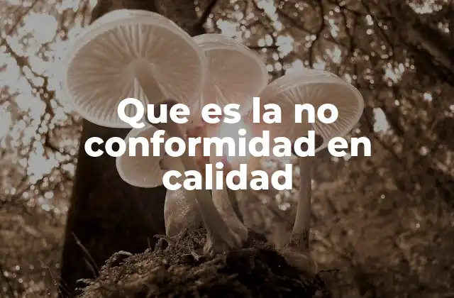 Que es la No Conformidad en Calidad