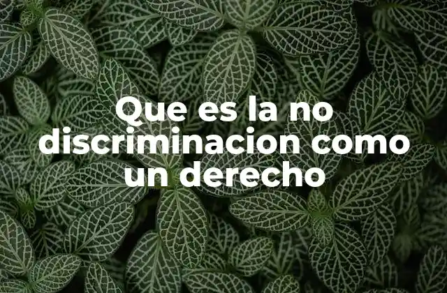 La importancia de la no discriminación en la sociedad moderna