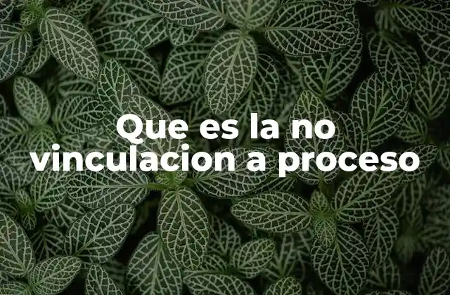 Que es la No Vinculacion a Proceso