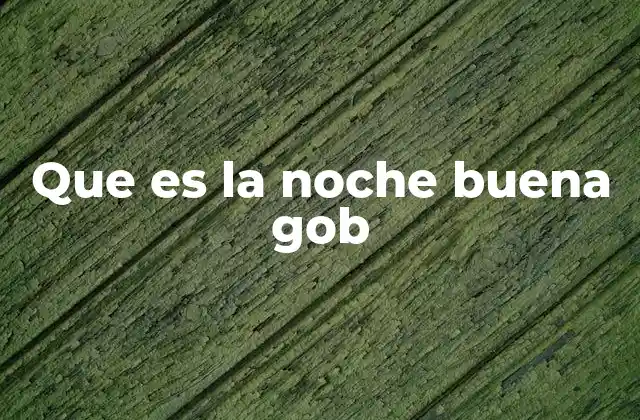 Que es la Noche Buena Gob