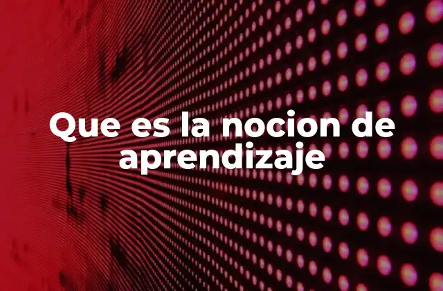 El aprendizaje como base de la inteligencia y la adaptación
