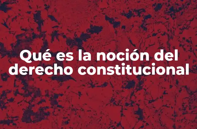 El papel de la Constitución en la organización del Estado