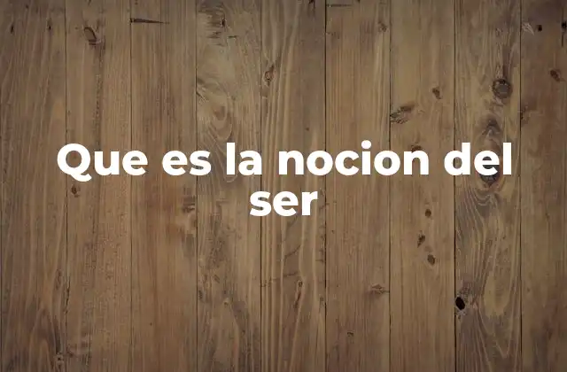Que es la Nocion Del Ser