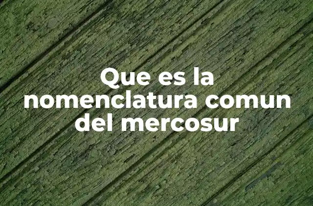 Que es la Nomenclatura Comun Del Mercosur