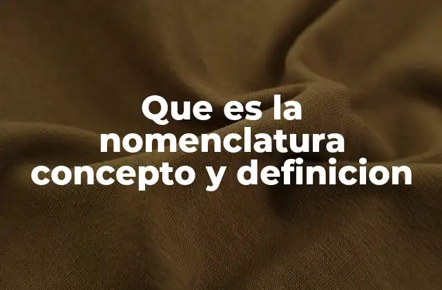 Que es la Nomenclatura Concepto y Definicion