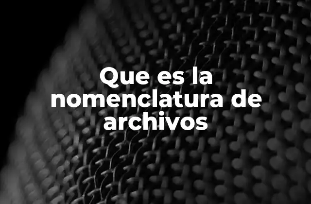 Que es la Nomenclatura de Archivos
