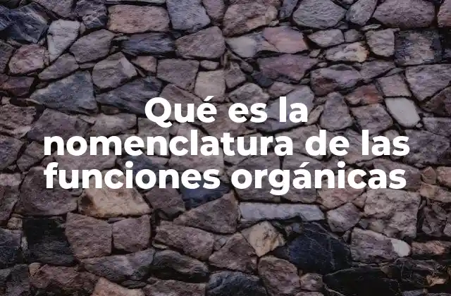 Qué es la Nomenclatura de las Funciones Orgánicas 2 La importancia de las reglas en la química orgánica
