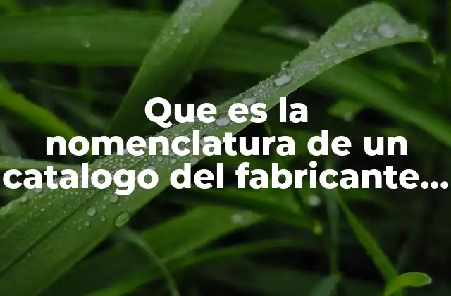 Que es la Nomenclatura de un Catalogo Del Fabricante Definición