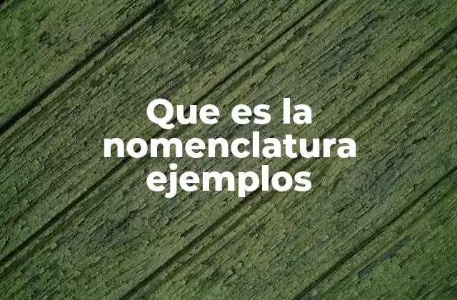 Que es la Nomenclatura Ejemplos