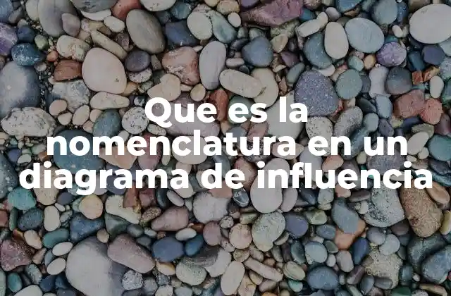 Que es la Nomenclatura en un Diagrama de Influencia