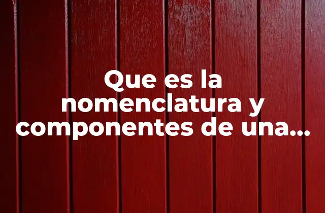 Que es la Nomenclatura y Componentes de una Funcion
