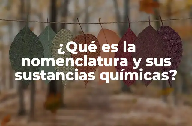 ¿qué es la Nomenclatura y Sus Sustancias Químicas?