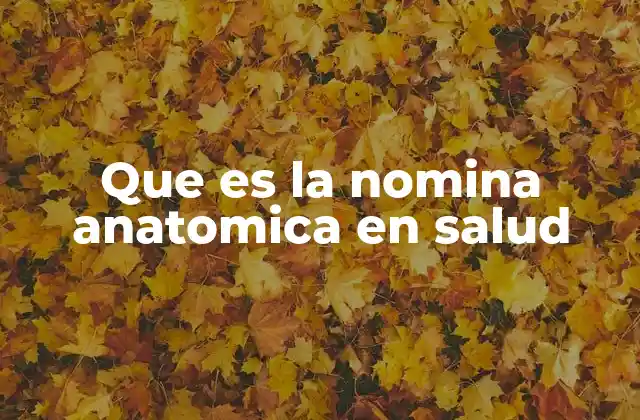 Que es la Nomina Anatomica en Salud
