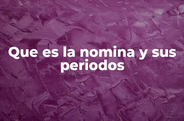 Que es la Nomina y Sus Periodos