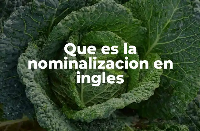 Que es la Nominalizacion en Ingles
