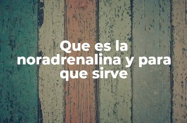 Que es la Noradrenalina y para que Sirve