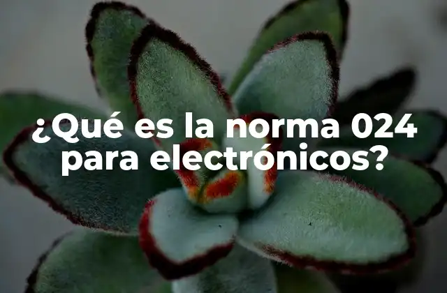 ¿qué es la Norma 024 para Electrónicos?