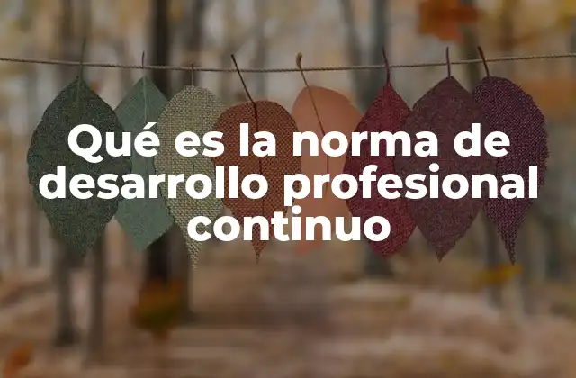 Qué es la Norma de Desarrollo Profesional Continuo