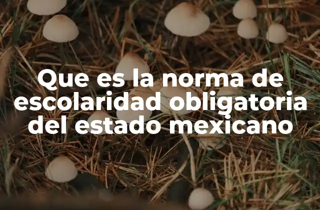 Que es la Norma de Escolaridad Obligatoria Del Estado Mexicano