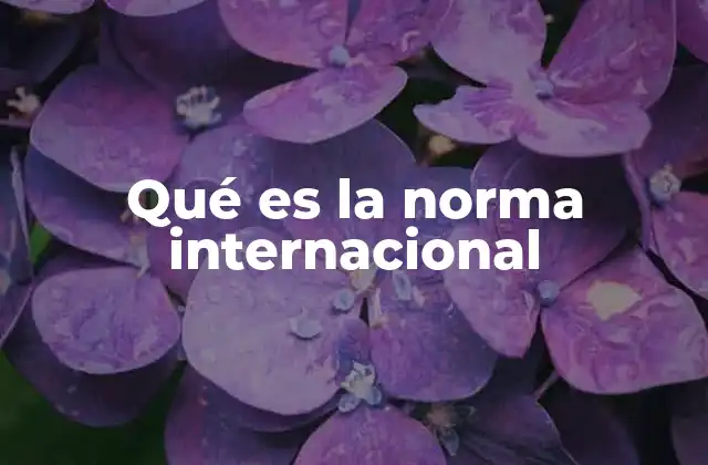 Qué es la Norma Internacional 2 El papel de las normas internacionales en la gobernanza global