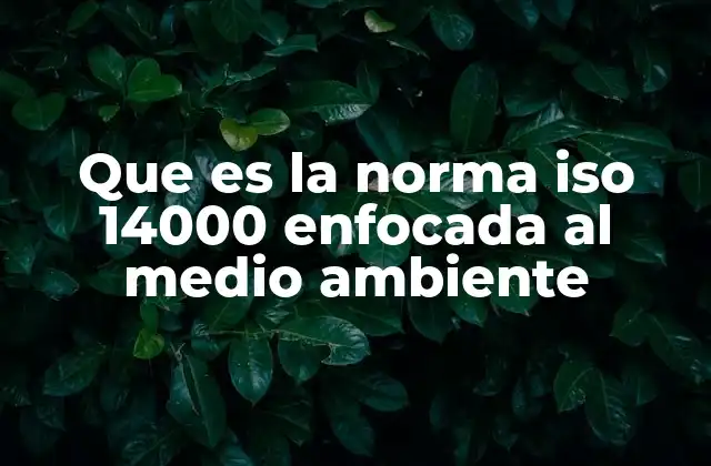 Que es la Norma Iso 14000 Enfocada Al Medio Ambiente