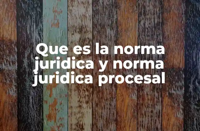 El papel de las normas en el sistema legal