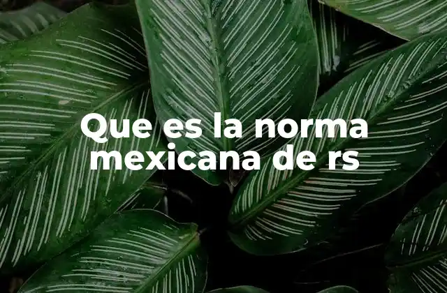 Que es la Norma Mexicana de Rs