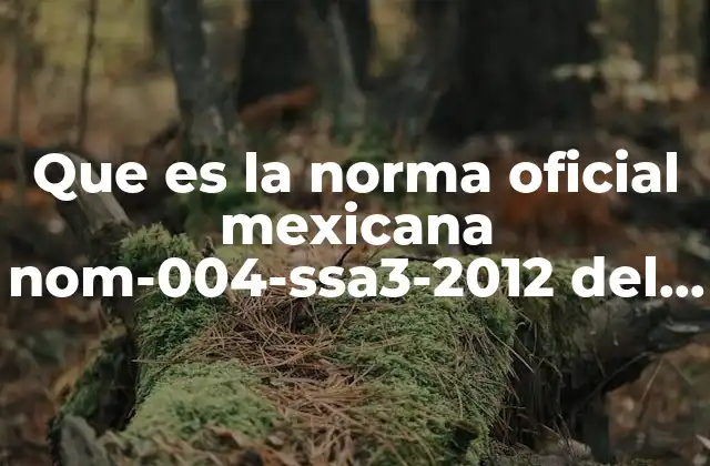Que es la Norma Oficial Mexicana Nom-004-ssa3-2012 Del Expediente Clínico