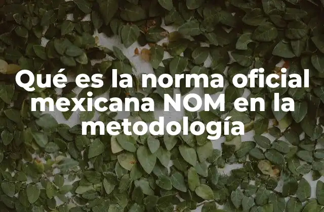 Qué es la Norma Oficial Mexicana Nom en la Metodología