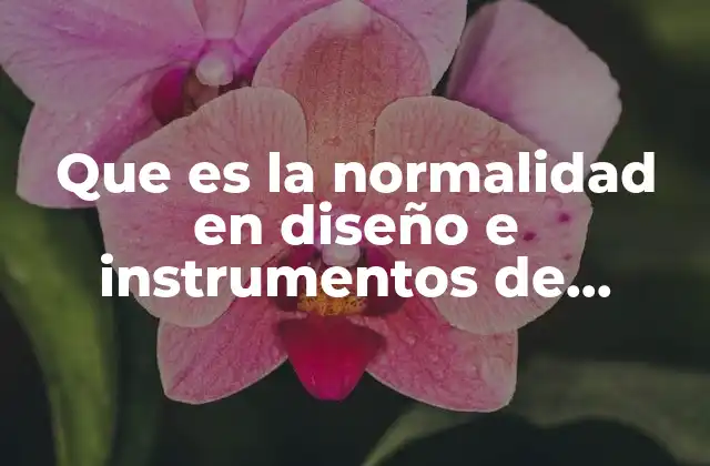 Que es la Normalidad en Diseño e Instrumentos de Medicion 2 La importancia de la estandarización en el diseño técnico