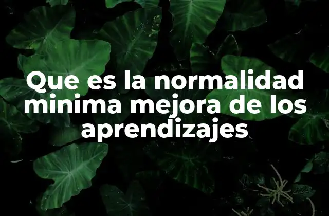 Que es la Normalidad Minima Mejora de los Aprendizajes